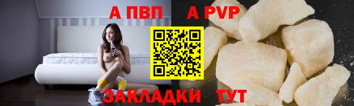 A-PVP СК КРИС Рубцовск